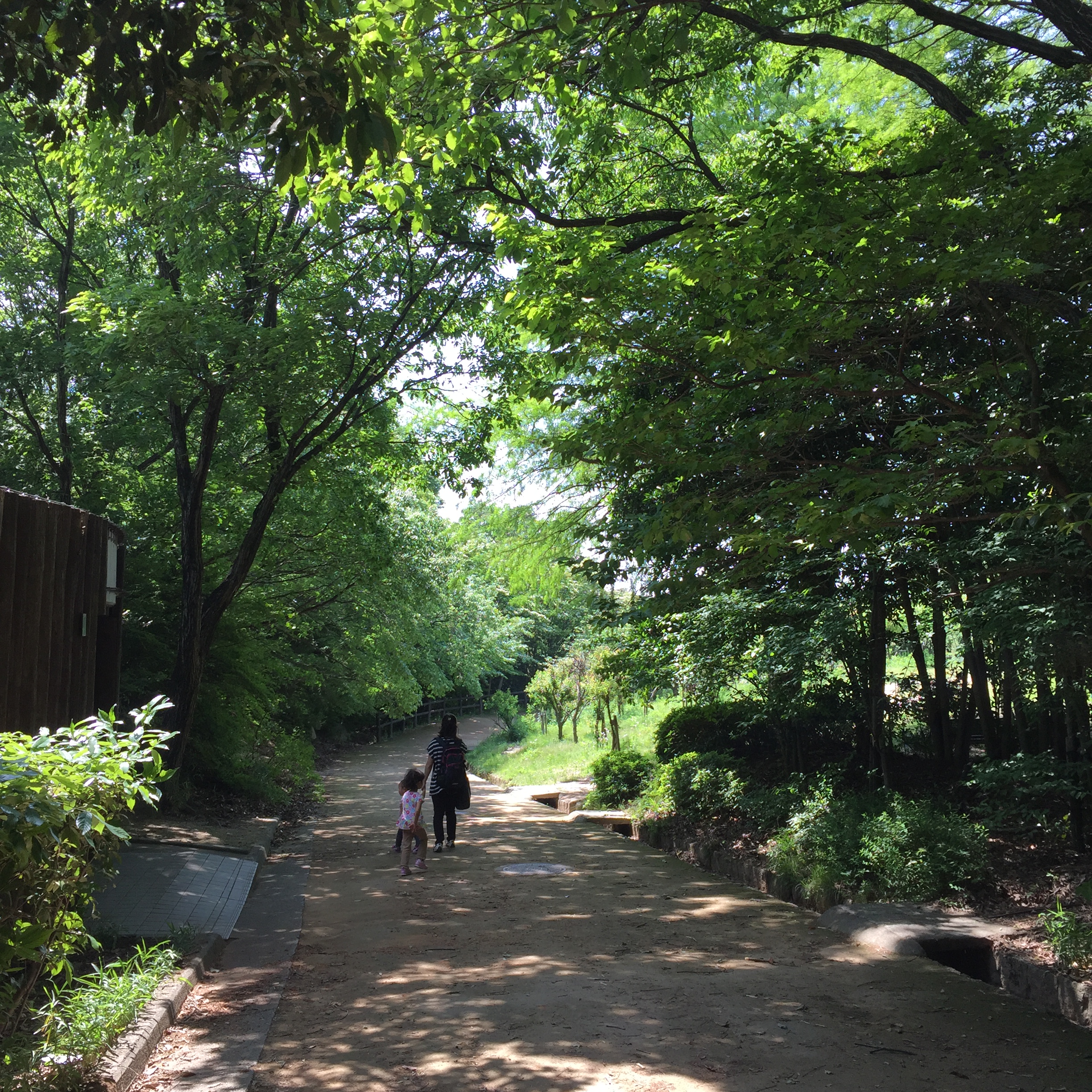 がんばらなくていい 楽な道を選べばいい いつでも スタオバ